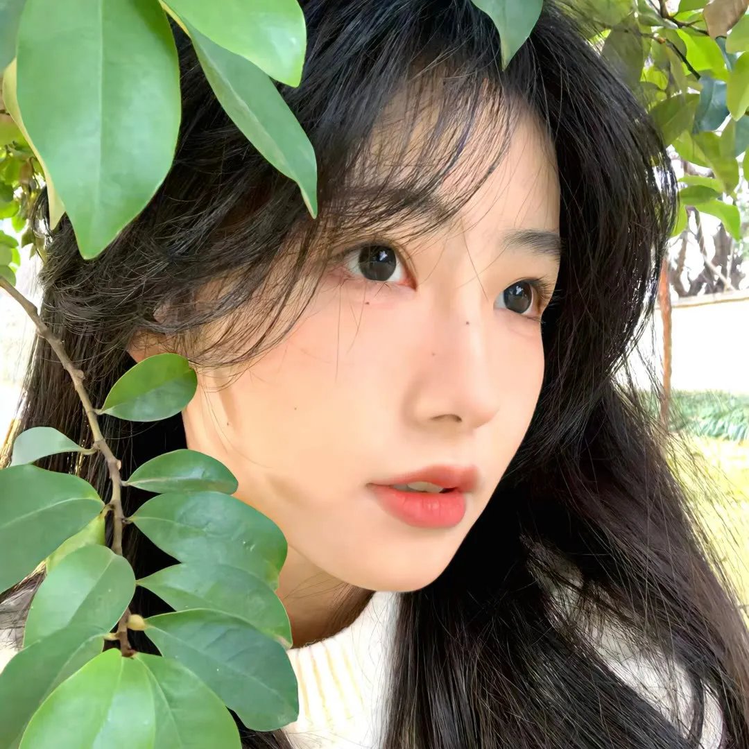 花仔多情粤语